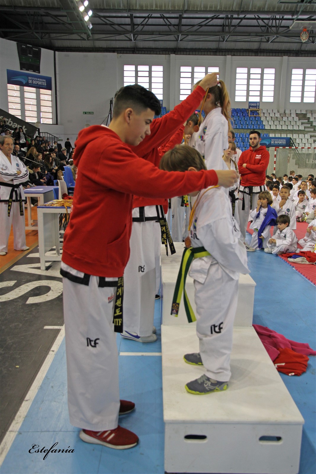 Taekwondo (250).jpg